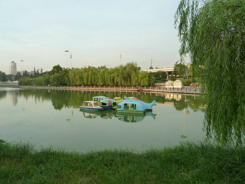 p1000110.jpg