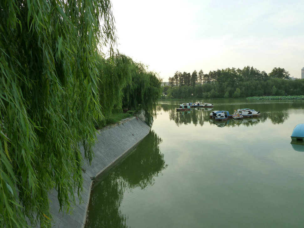p1000108.jpg