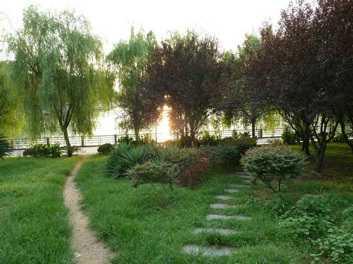 p1000098.jpg