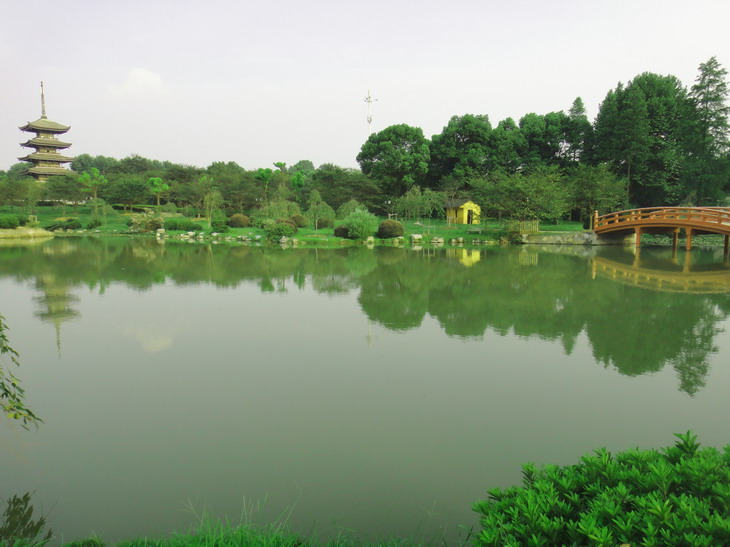 dsc00456.jpg