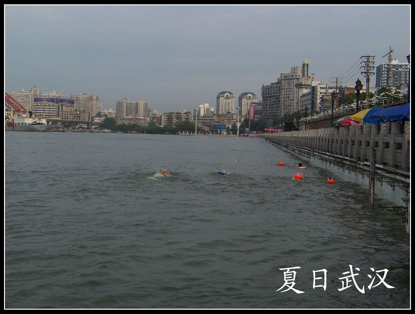 20100718a (14).jpg