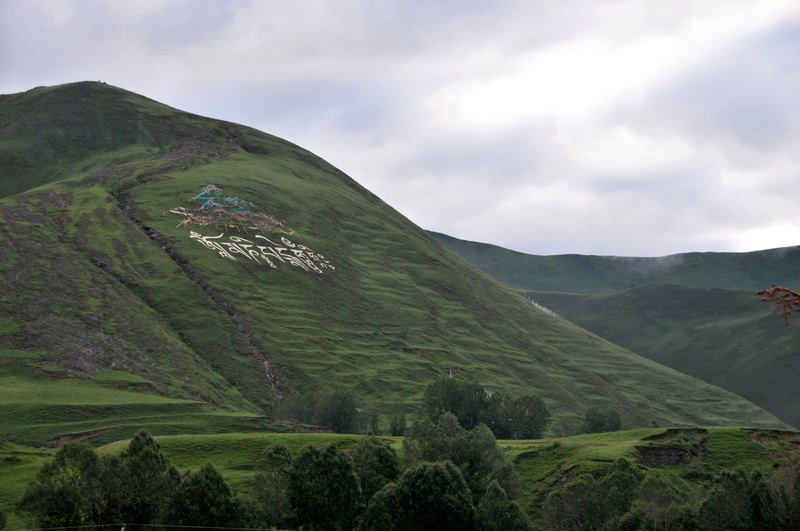 dsc_9332.jpg