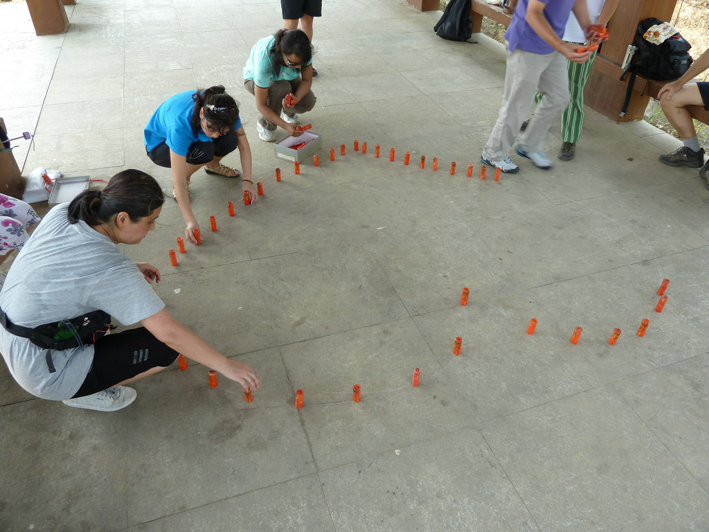 p1000253.jpg