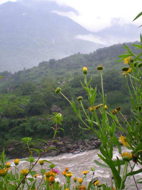 dscn6826.jpg