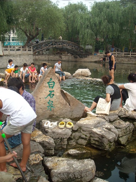 bigbull_dscn5170.jpg