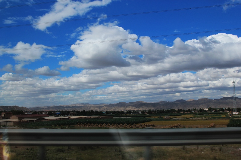 2img_0846.jpg