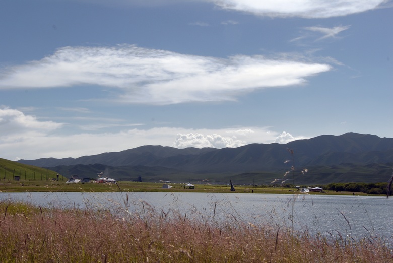 dsc_0711.jpg