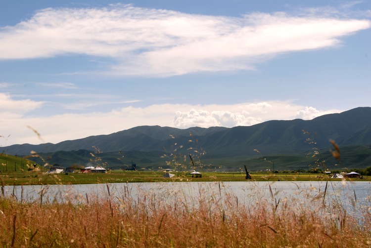 dsc_0712.jpg
