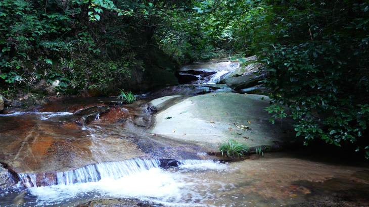 p1130611.jpg