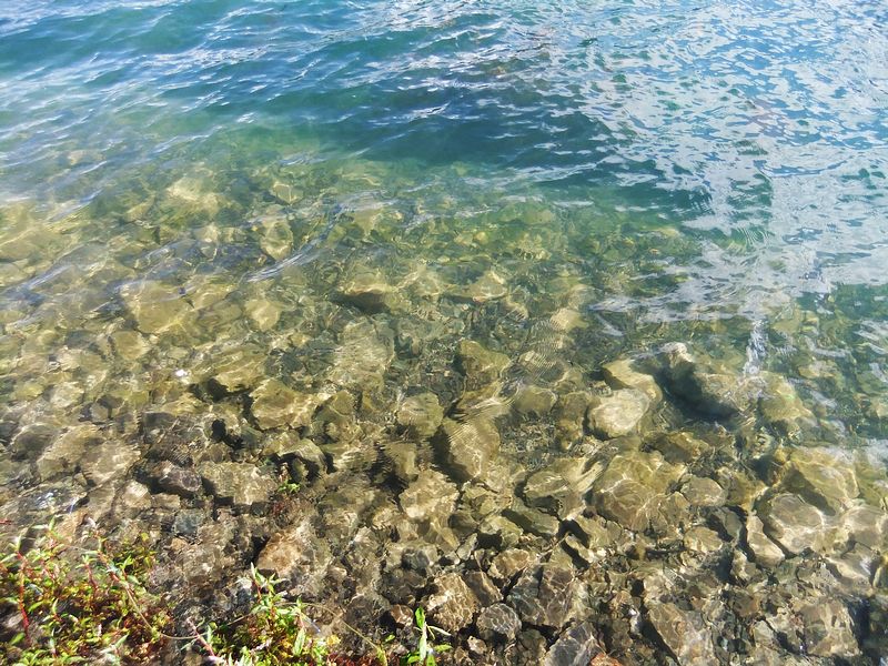 dscf2135.jpg