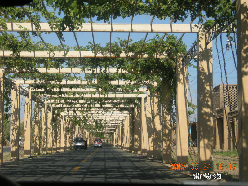 dscn4659.jpg