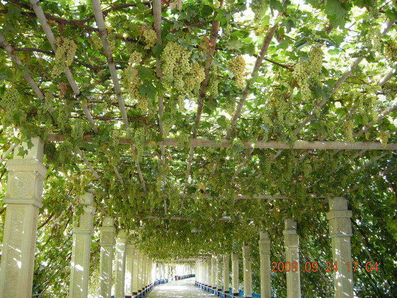dscn4669.jpg