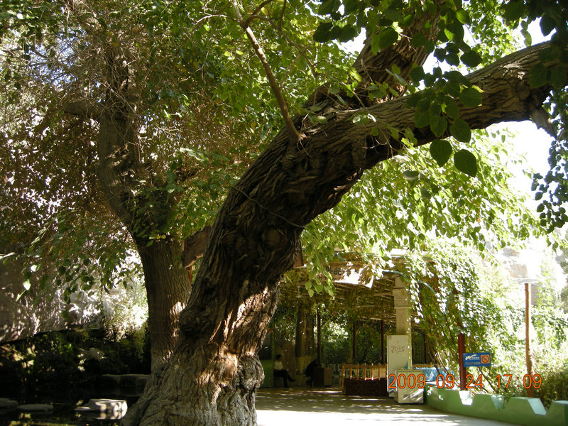 dscn4671.jpg