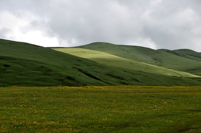 dsc_9392.jpg