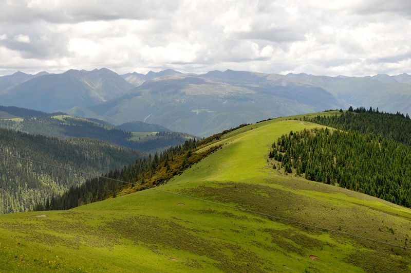 dsc_9471.jpg