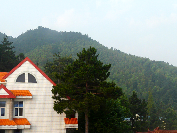 p1130447.jpg