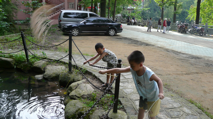 p1130154.jpg