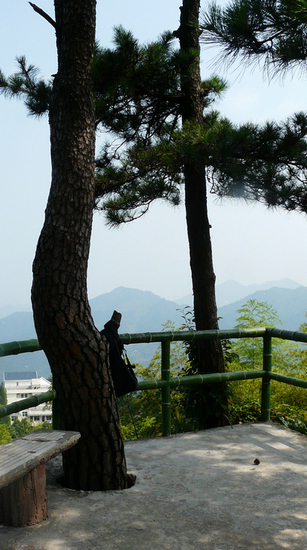 p1130512.jpg