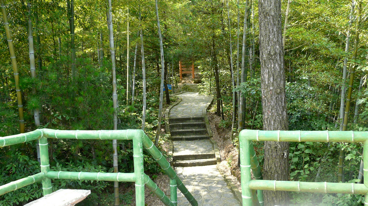 p1130509.jpg