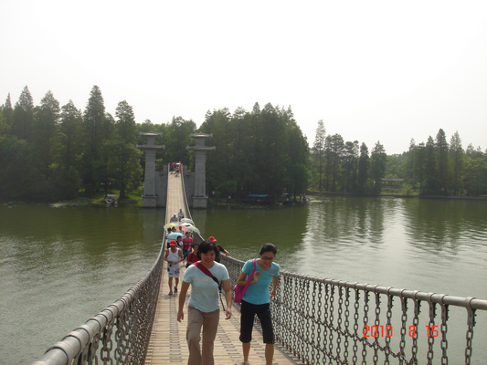 dsc07357a.jpg