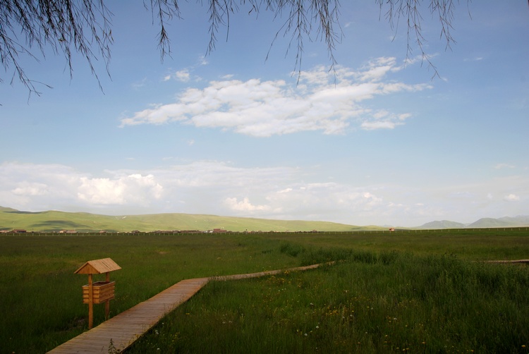 dsc_0918.jpg