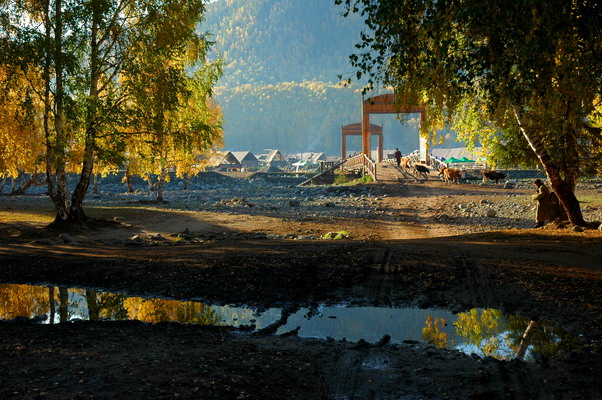 dsc_7664.1_.jpg