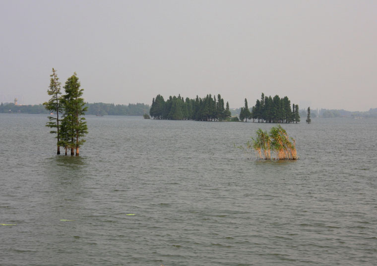 img_7192.jpg