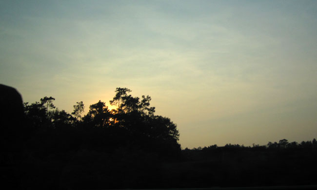 img_1292.jpg