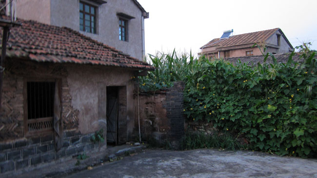 img_1307.jpg