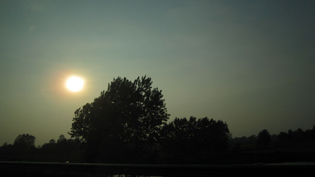 img_1271.jpg