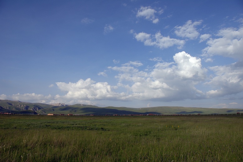 dsc_0999.jpg