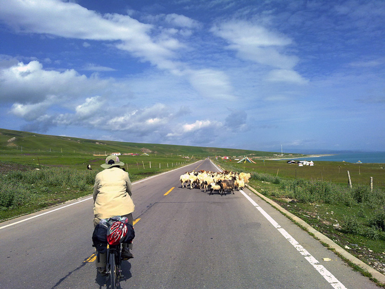 12082010188-2.jpg