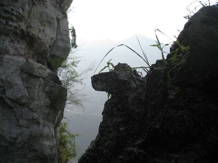 Ƭ 097.jpg