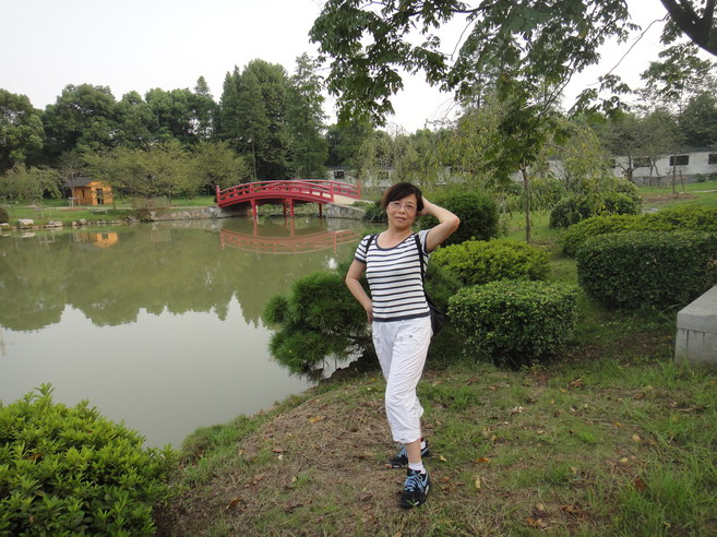 dsc00708.jpg