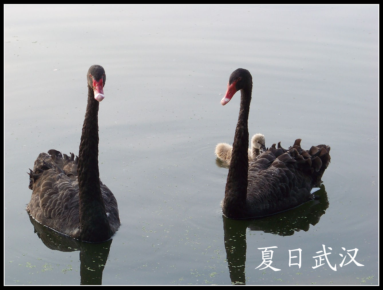 20100725人԰b (12).jpg