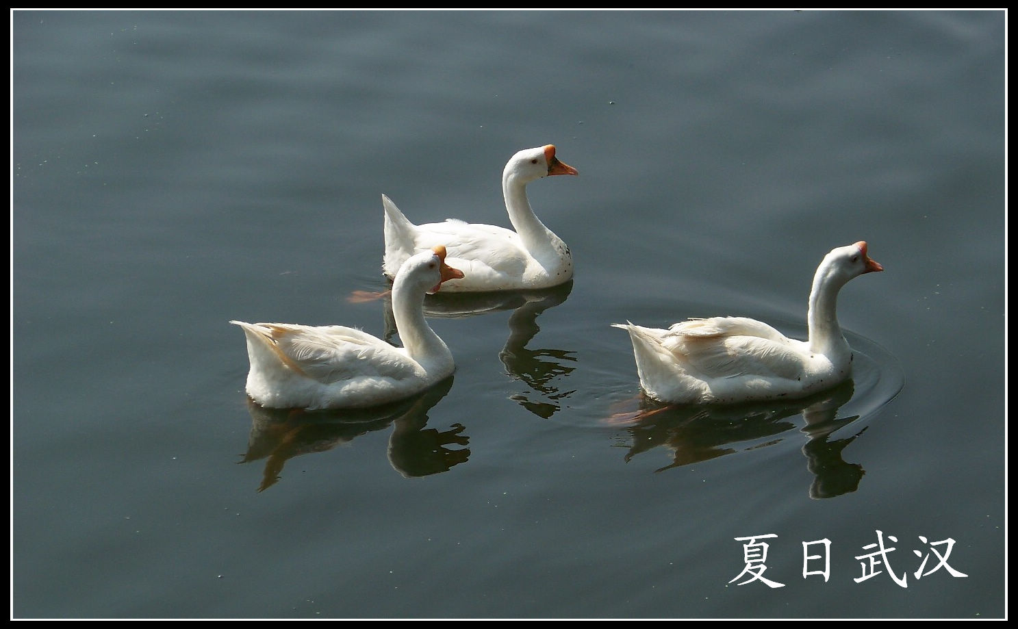 20100725人԰b (73).jpg
