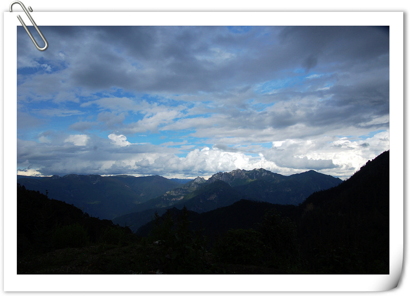 dsc_8593.jpg