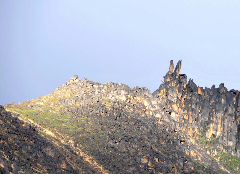dsc_9510.jpg