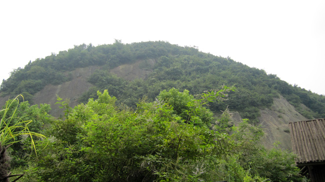 img_1452.jpg