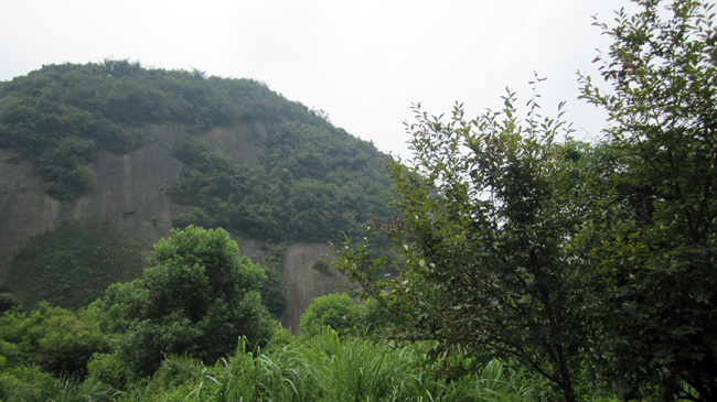img_1456.jpg