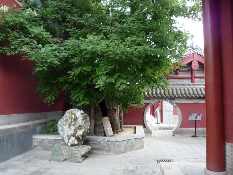 p1040010.jpg