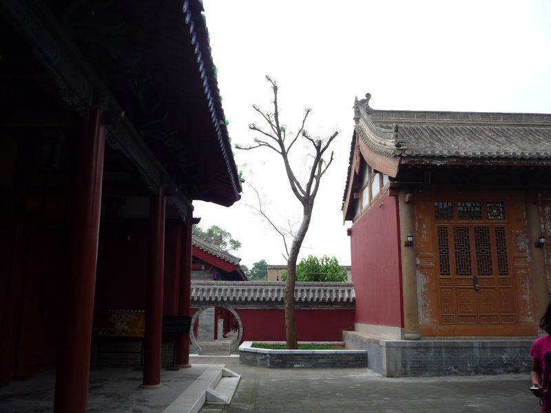 p1040010.jpg