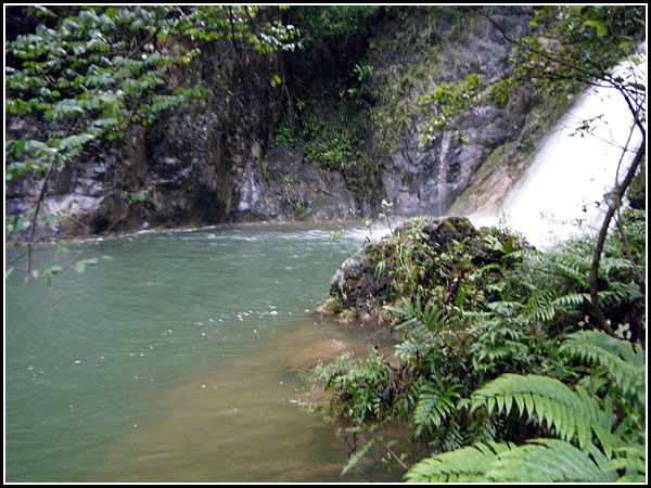 dscf1988-.jpg