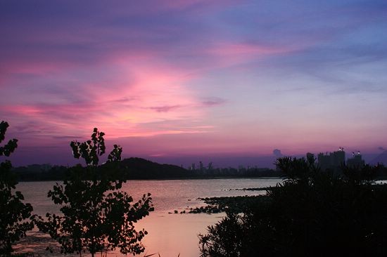 88.jpg