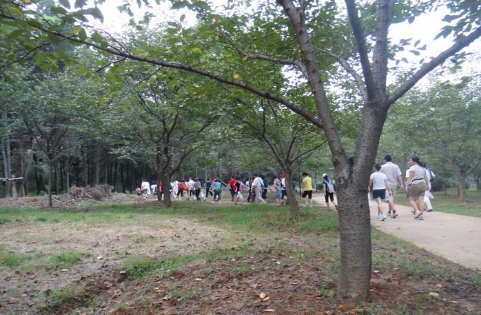 dsc00745.jpg