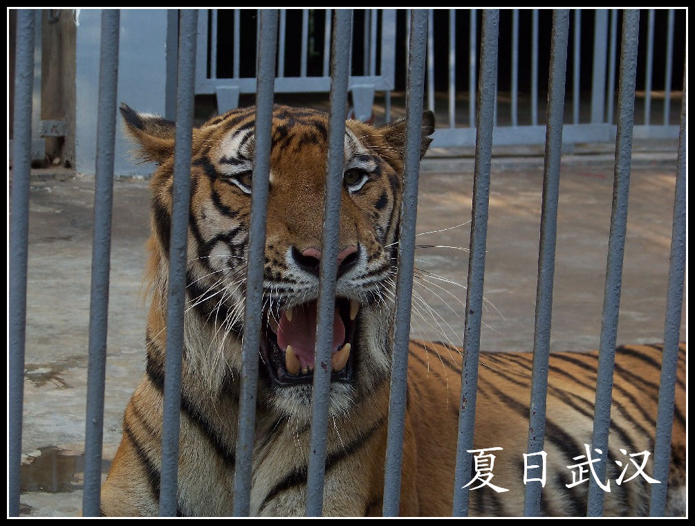 20100725人԰fʨ (16).jpg