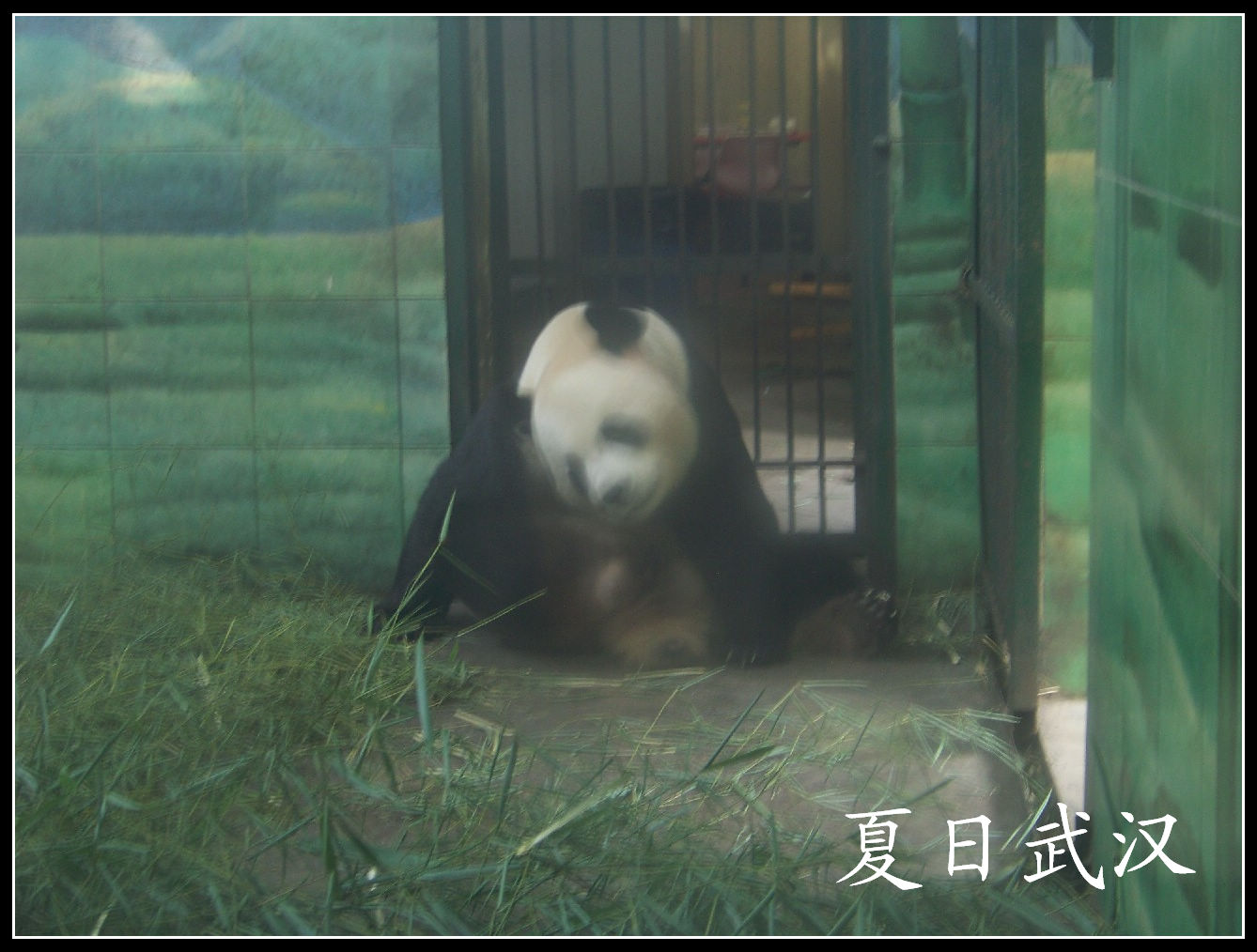 20100725人԰gè (14).jpg