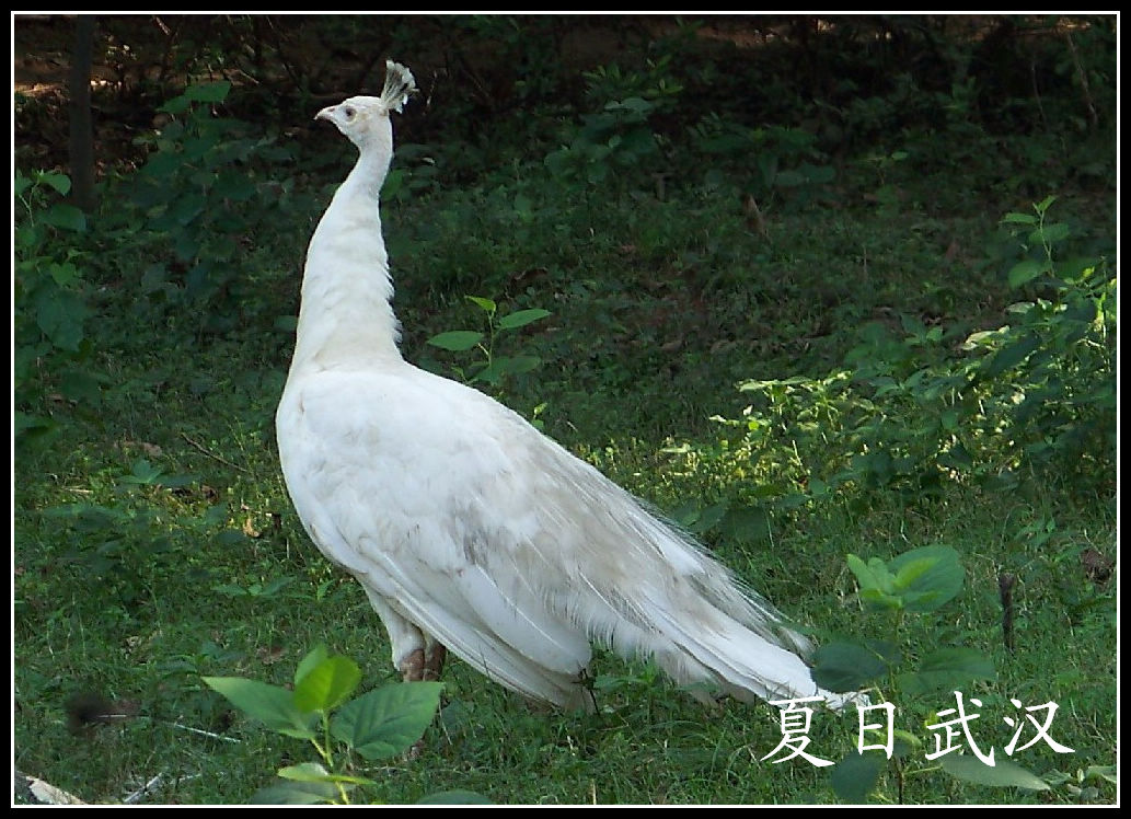 20100725人԰hȸ (14).jpg