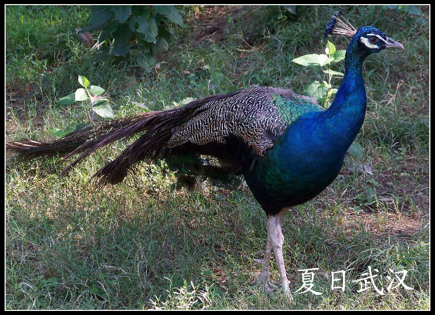 20100725人԰hȸ (26).jpg