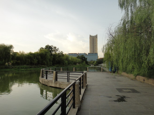 dsc00762.jpg